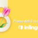 Promo 8 marzo inlingua Imola